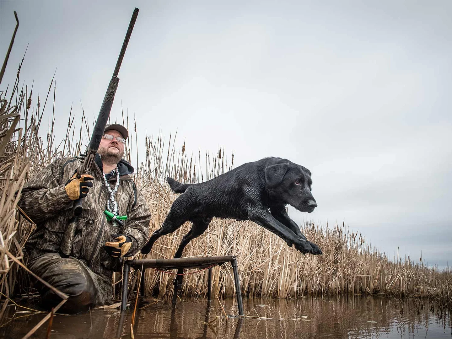 The Heartwarming Tale of the Ultimate Hunting Companion